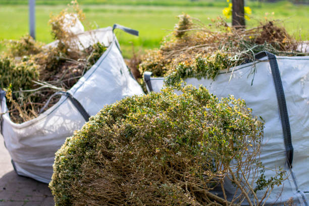 Best Estate Cleanout Services  in Carlisle, OH