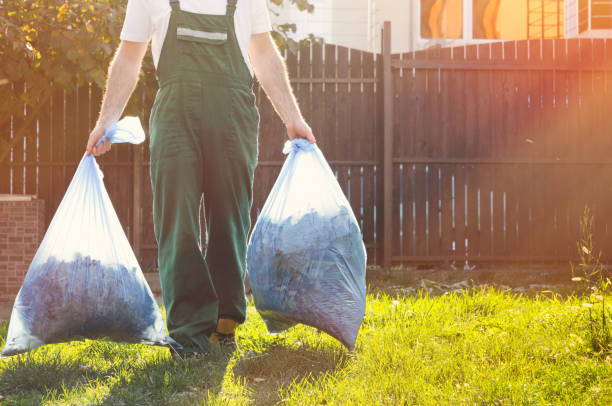 Best Affordable Junk Removal Services  in Carlisle, OH